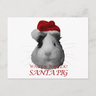 Santa Claus Pig Guinea Pig Christmas Holidays Holiday Postcard