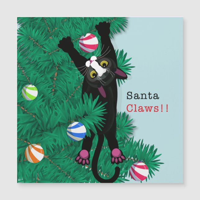 Santa Claws! Cat Christmas card funny (Front)