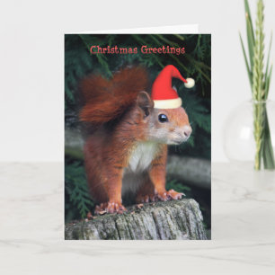 Santa Claws Christmas Card