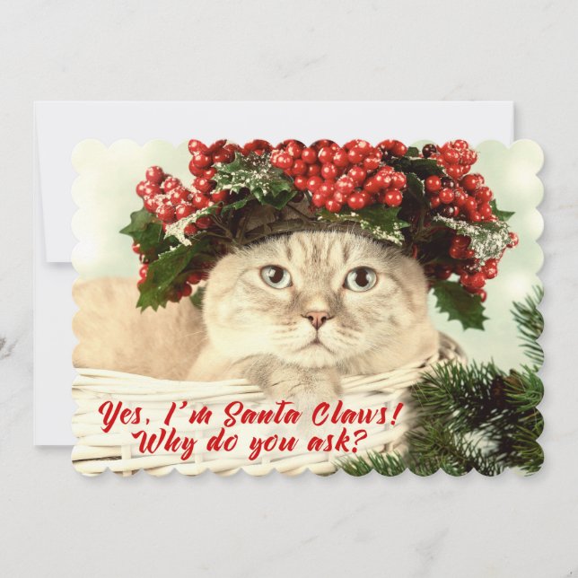 Santa "Claws" Christmas Cat Two Sided  Card (Front)