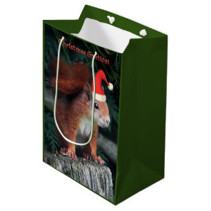 Santa Claws Medium Gift Bag