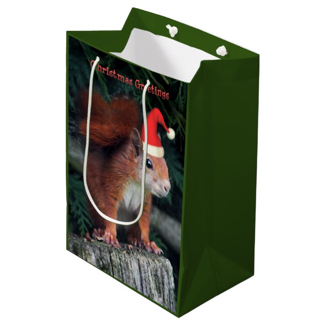 Santa Claws Medium Gift Bag (Front Angled)