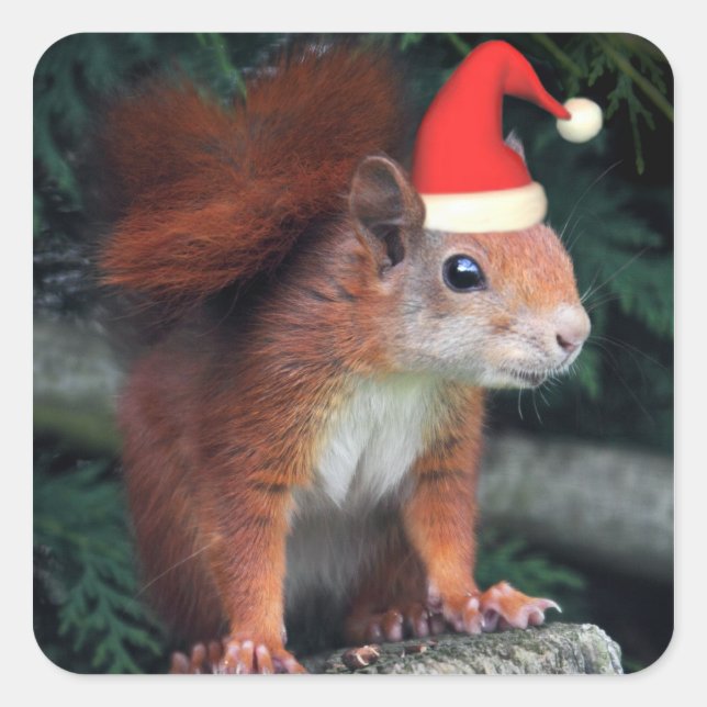 Santa Claws Sticker (Front)