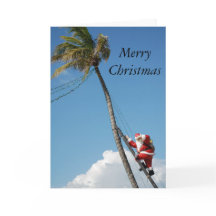 Santa climbs palm tree sunny florida