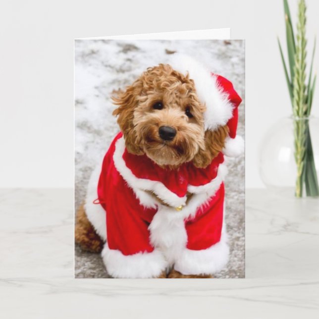 Santa Cockapoo Christmas Card (Front)