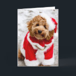 Santa Cockapoo Christmas Card<br><div class="desc">Santa Cockapoo Christmas Card</div>
