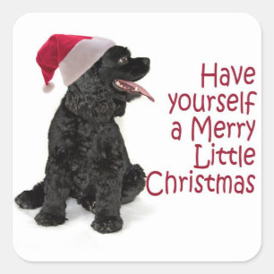 Santa Cocker Stickers