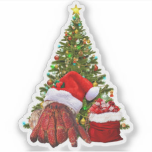Santa Crab Funny Christmas Hermit Crab Lover