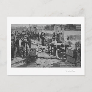 Santa Cruz, CA - Fisherman's Wharf Scene Postcard