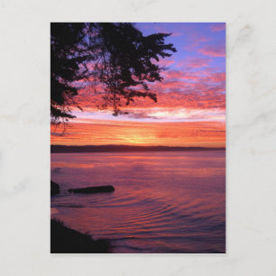 Santa Cruz, CA. Sunrise Postcard
