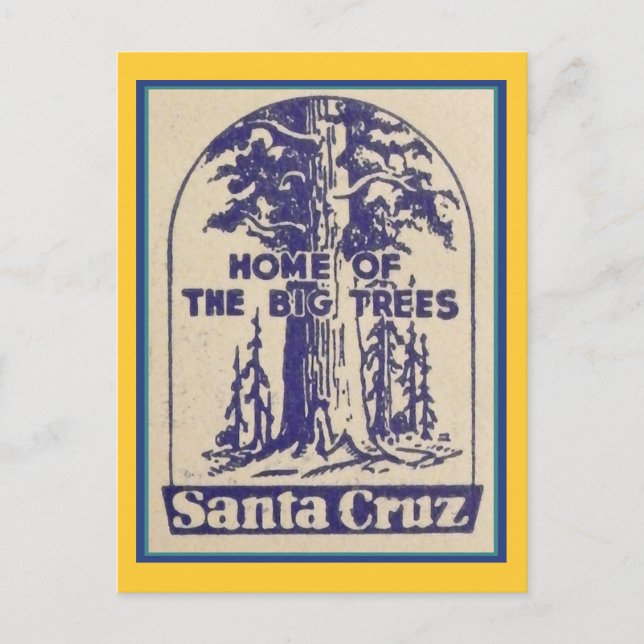 Santa Cruz California - Home of the Big Trees Postcard (Front)