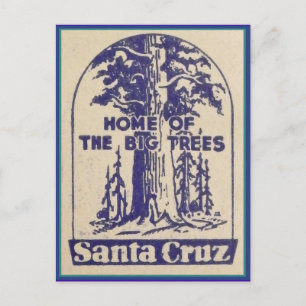 Santa Cruz California - Home of the Big Trees Postcard