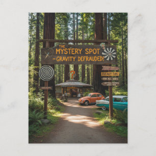 Santa Cruz California The Mystery Spot Postcard