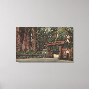 Santa Cruz County, CA Entrance to Big Trees Park Canvas Print