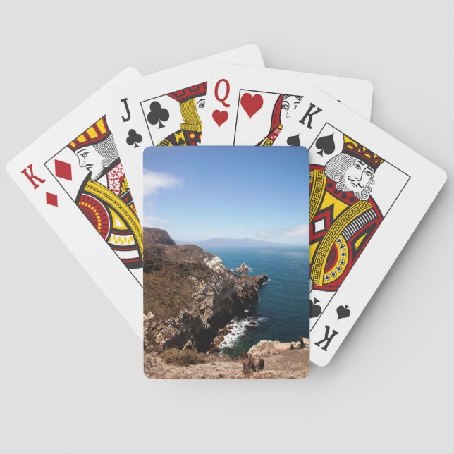 Santa Cruz Island Playing Cards (Back)