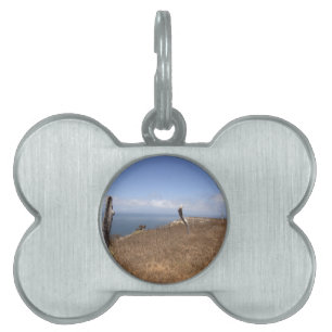 Santa Cruz Island Series 3 Pet ID Tag