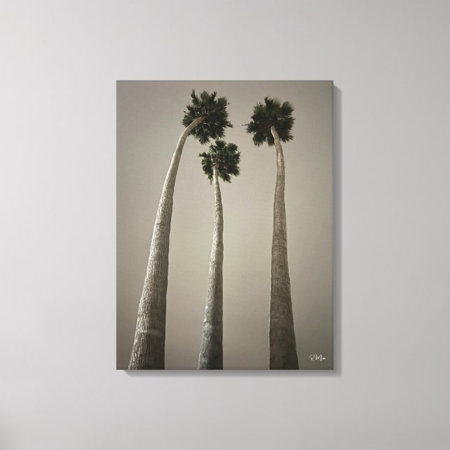 Santa Cruz Palms at Night Wall Art (Front)