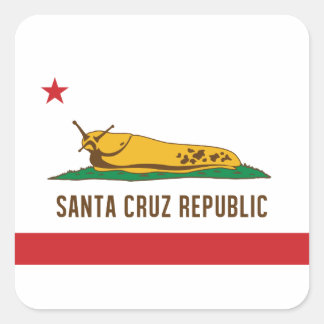 Santa Cruz Republic Banana Slug Flag Square Sticker