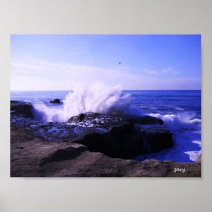 Santa Cruz Seashore Poster