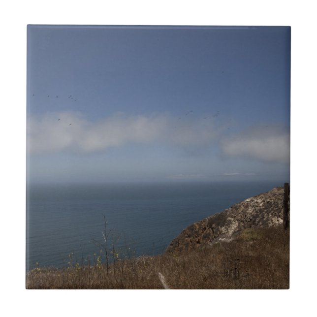 Santa Cruz Series 2 Tile (Front)