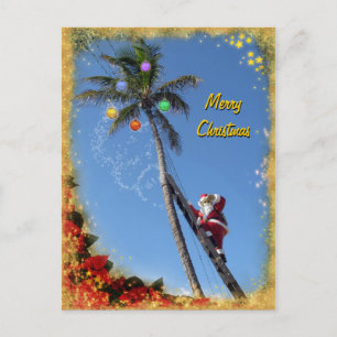 Santa decorating a Palm Tree Holiday Postcard