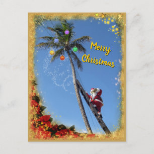 Santa decorating Palm Tree Holiday Postcard