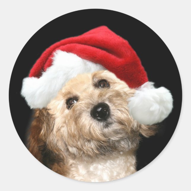 Santa dog classic round sticker (Front)