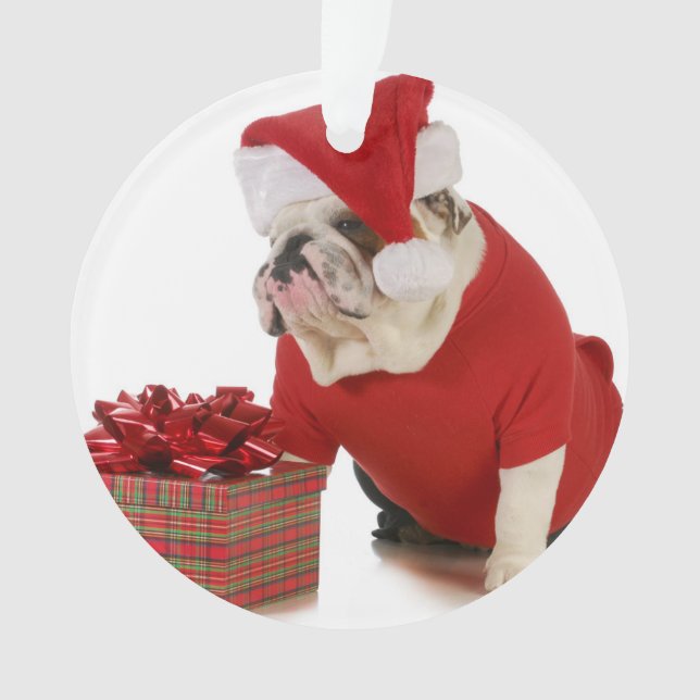 Santa Dog - English Bulldog Dressed Like Santa Ornament (Front)