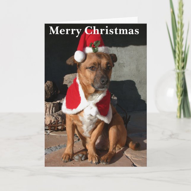 Santa Dog Holiday Card (Front)