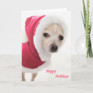 Santa Dog Holiday Card