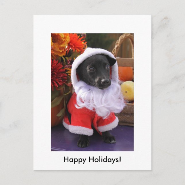 Santa Dog - Holiday Postcard (Front)