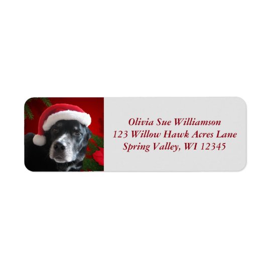 Santa Dog-Lab/Rott Mix with Pointsettia Return Address Label
