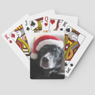 Santa Dog-Labrador Rottweiler Mix Playing Cards