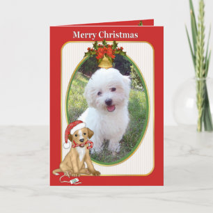 Santa Dog Pet Photo Greeting Holiday Card