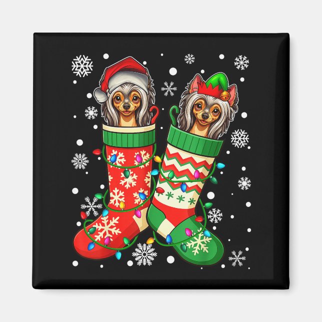 Santa Elf Chinese Crested Dog In Christmas Socks M Magnet (Front)
