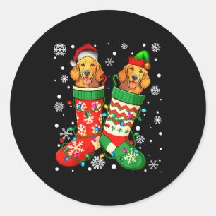Santa Elf Golden Retriever Dog In Christmas Socks  Classic Round Sticker