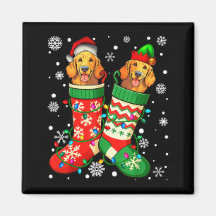 Santa Elf Golden Retriever Dog In Christmas Socks Magnet