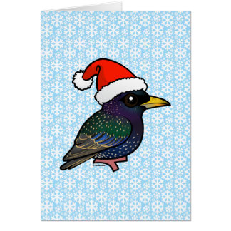 Santa European Starling