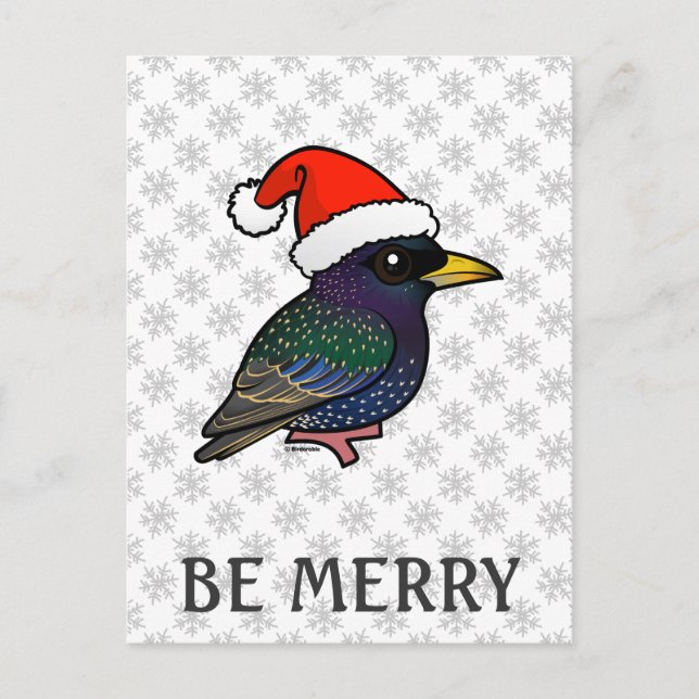 Santa European Starling Holiday Postcard (Front)