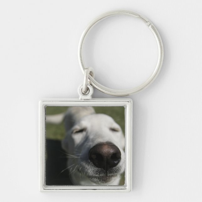 Santa Fe, New Mexico Key Ring (Front)