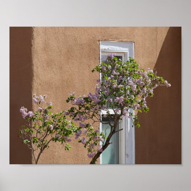 Santa Fe, New Mexico, Lilacs Poster (Front)