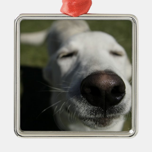 Santa Fe, New Mexico Metal Tree Decoration (Front)