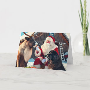 Santa Feeding Reindeer with Newf Watching Holiday Card