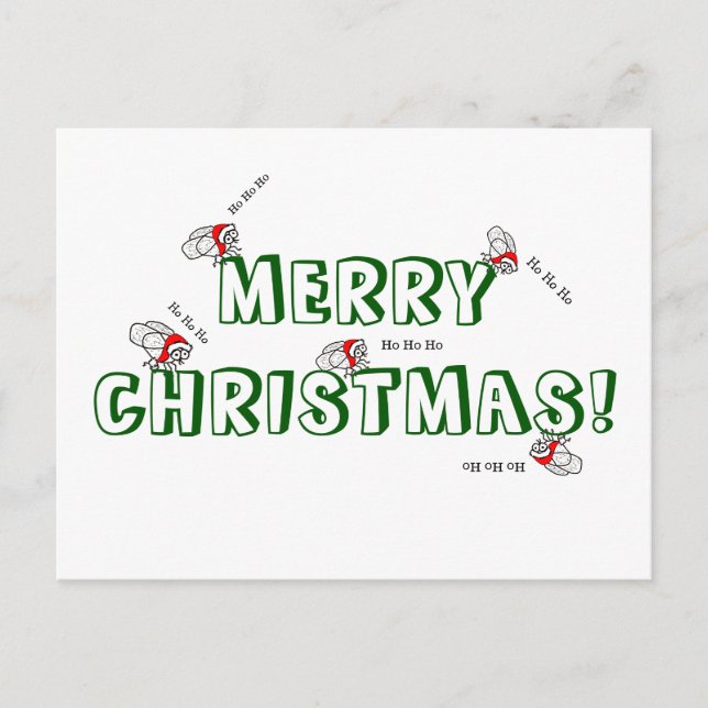 Santa Fly Christmas Postcard (Front)