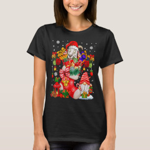 Santa Goat Inside Xmas Sock With Presents Cute Gno T-Shirt
