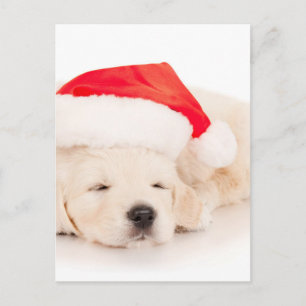 Santa Golden Retriever Puppy Holiday Postcard