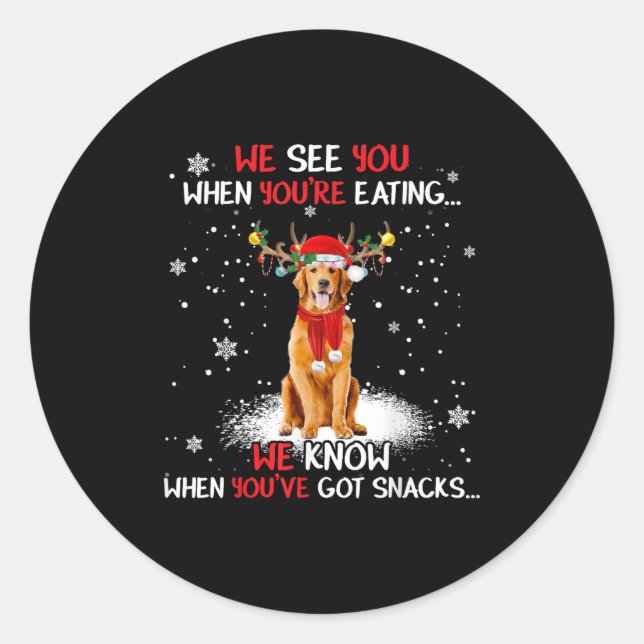 Santa Golden Retriever Reindeer Light Christmas Pa Classic Round Sticker (Front)