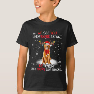 Santa Golden Retriever Reindeer Light Christmas Pa T-Shirt