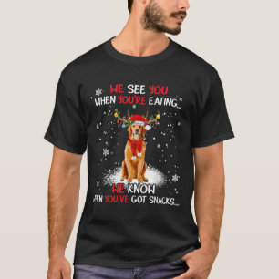 Santa Golden Retriever Reindeer Light Christmas Pa T-Shirt