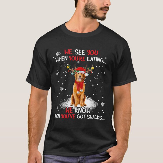 Santa Golden Retriever Reindeer Light Christmas Pa T-Shirt (Front)